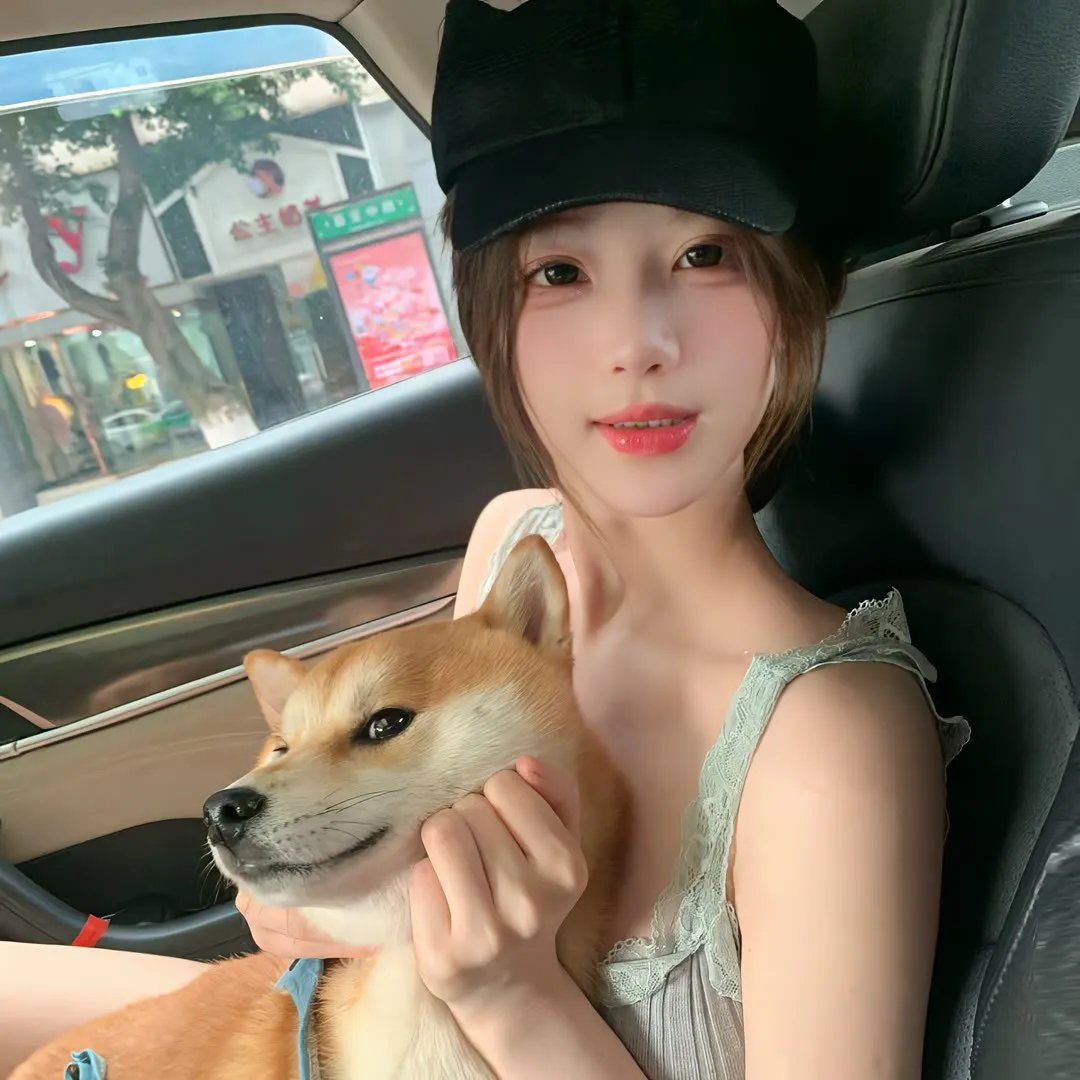 101朵玫瑰